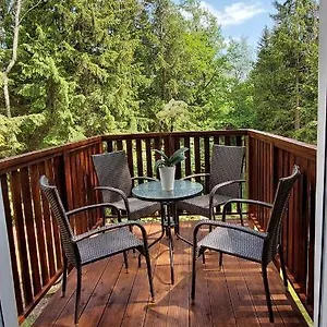 Przy Lesie Apartament